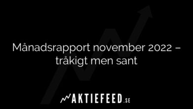 Månadsrapport november 2022 – tråkigt men sant